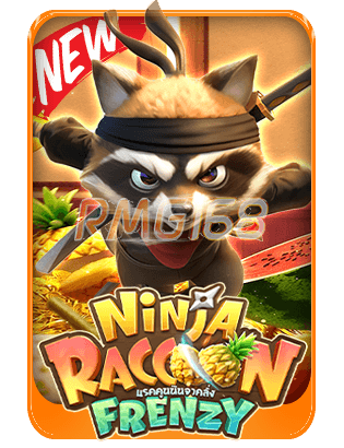 ninja raccoon